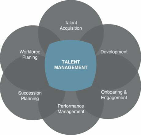 HumanGrounds Talent Managment Graph